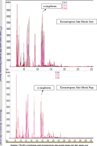 Gambar 5 Profil α5zingiberen pada kromatogram jahe merah panen pagi dan panen sore