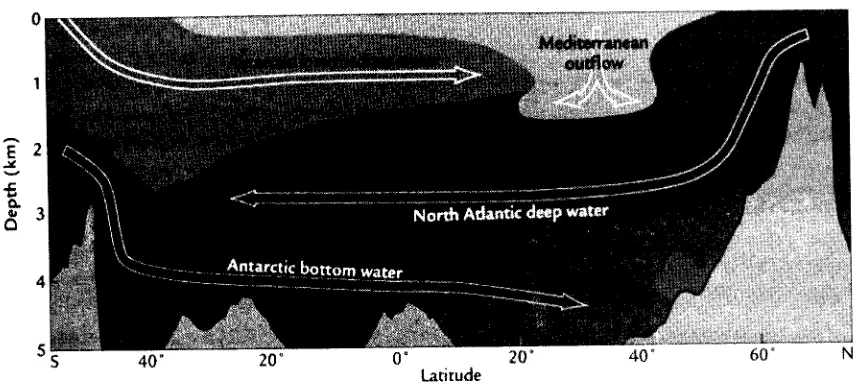 Gambar di atas adalah contoh penampang sirkulasi air laut di Samudera Atlantik