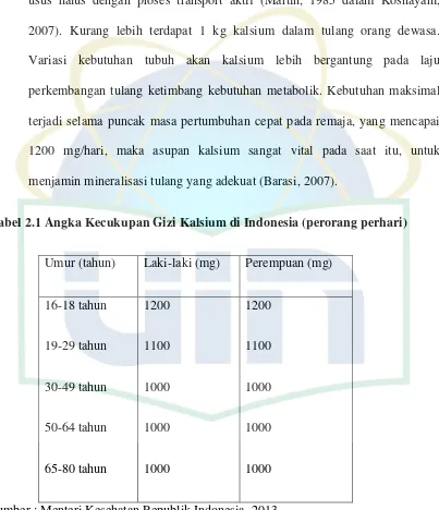 Tabel 2.1 Angka Kecukupan Gizi Kalsium di Indonesia (perorang perhari) 