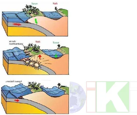 Gambar 2. Siklus gempa bumi pada zona subduksi lempeng yang juga menghasilkan tsunami (poster LIPI- Caltech)