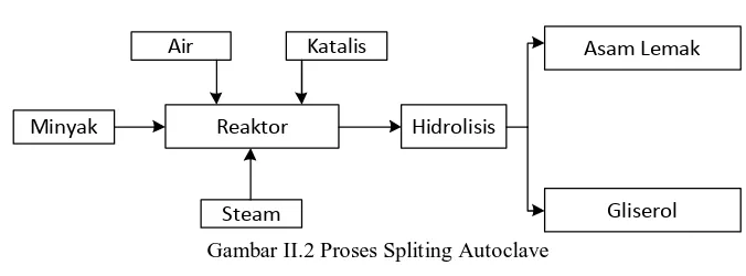 Gambar II.3 Proses Spliting Enzimatis 
