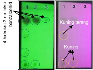 Gambar 1 -Profil Kromatografi Senyawa Hasil Sintesis pH 1 dan pH 2. Fase diam silika gel GF254, fase gerak kloroform:etilasetat (3:7), spot 1 sintesis pH 1, spot 2 sintesis pH 2, spot 3 pembanding (4’-hidroksi-3’-metoksibenzal- dehida), (A) dilihat pada UV
