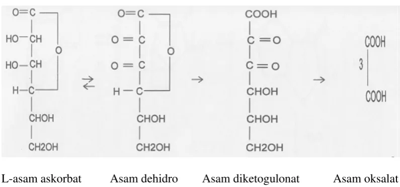 Gambar 2. Reaksi Perubahan Vitamin C (Silalahi, 1985). 