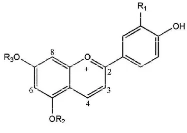 Gambar 5. Struktur antosianin pada sorgum yaitu apigenidin dan    luteolinidin (Awika dan Rooney 2004) 