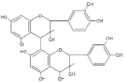 Gambar 6. Struktur proantosianidin atau tanin pada sorgum (Rooney dan     Serna 2000) 