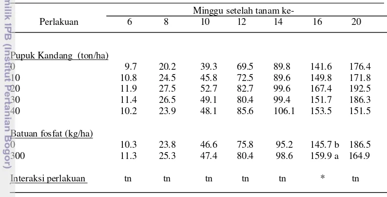 Tabel 3. Pengaruh pupuk kandang sapi dan batuan fosfat terhadap jumlah daun  
