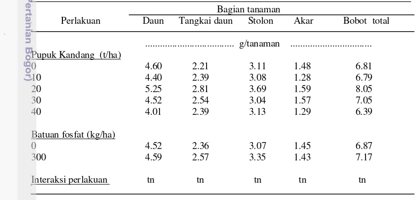 Tabel 9. Pengaruh pupuk kandang sapi dan batuan fosfat terhadap bobot kering 