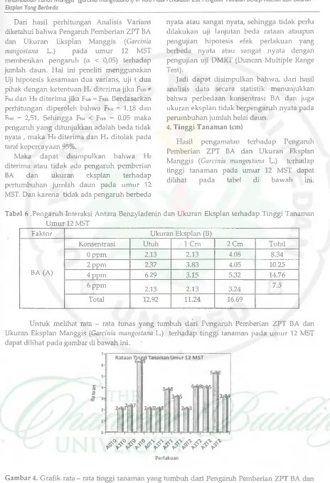 Tabel 6 .Pengaruh Interaksi Antara Benzyladenin dan Ukuran Eksplan terhadap Tinggi Tanaman 