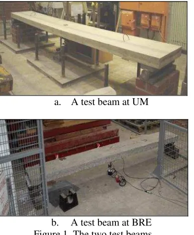 Figure 2.  Boundary conditions of the UM beam