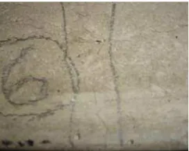 Figure 6. Cracks in the UM beam