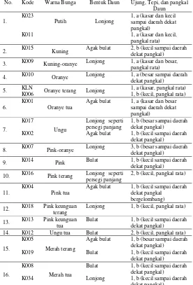 Tabel 2. Identifikasi Varietas Tanaman Kalanchoe   