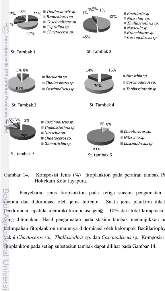 Gambar 14.      Komposisi Jenis (%)  fitoplankton pada perairan  tambak Pesisir  Holtekam Kota Jayapura