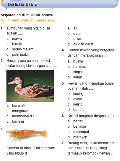 Gambar di atas ini ialah hewan 