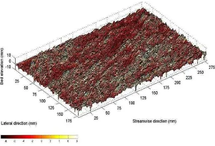Figure 3. Bed surface topography of the measurement grid after antecedent flow test