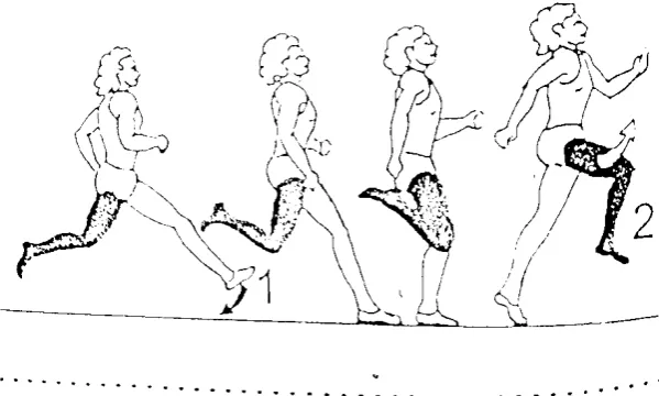 Gambar 1. Ilustrasi Tumpuan Lompat Jauh Gaya Jongkok (International Amateur Athletic Federation, 2000 : 37) 