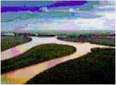Gambar 2.4: Delta Sungai Mahakam,