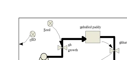 Gambar 4.  Model padi ladang 
