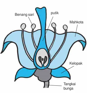 Gambar 2.6 Bunga dan bagian-