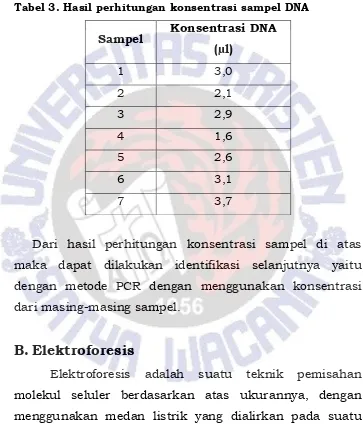 Tabel 3. Hasil perhitungan konsentrasi sampel DNA 