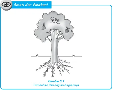 Gambar 3.1Tumbuhan dan bagian-bagiannya