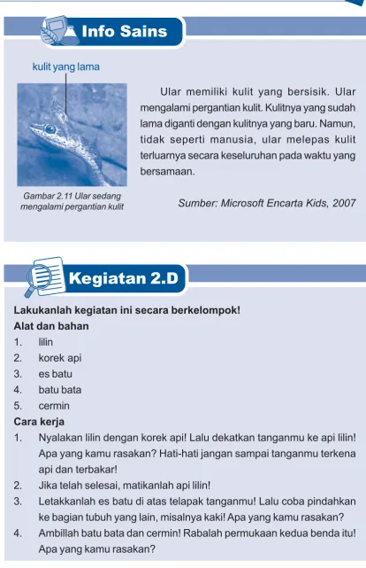 Gambar 2.11 Ular sedang