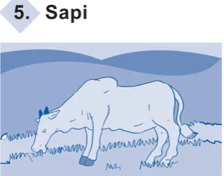 Gambar 4.5 Sapi memakan rumput