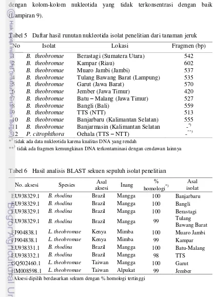 Tabel 6   Hasil analisis BLAST sekuen sepuluh isolat penelitian 