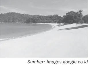 Gambar 2.8 Pantai yang landai