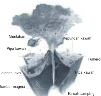 Gambar 1.21Gas yang keluar dari letusanLetusan gunung api menimbulkan kerusakan