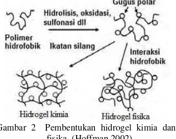 Gambar 2  Pembentukan hidrogel kimia dan
