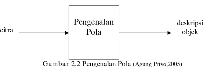 Gambar 2.2 Pengenalan Pola (Agung Priyo,2005) 