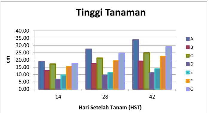 Gambar 1. Grafik hubungan antara tinggi tanaman dengan umur 