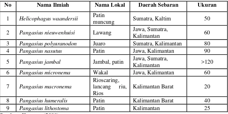 Tabel 4. Jenis Ikan Patin Sebagai Ikan Hias yang Dijual di Indonesia 