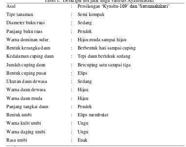 Tabel 1.  Deskripsi ubi jalar ungu varietas Ayamurasaki „109‟dan „Satsumahikari‟