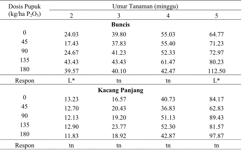 Tabel 4. Pengaruh Penambahan Dosis Pupuk P terhadap Tinggi Tanaman Buncis dan Kacang Panjang