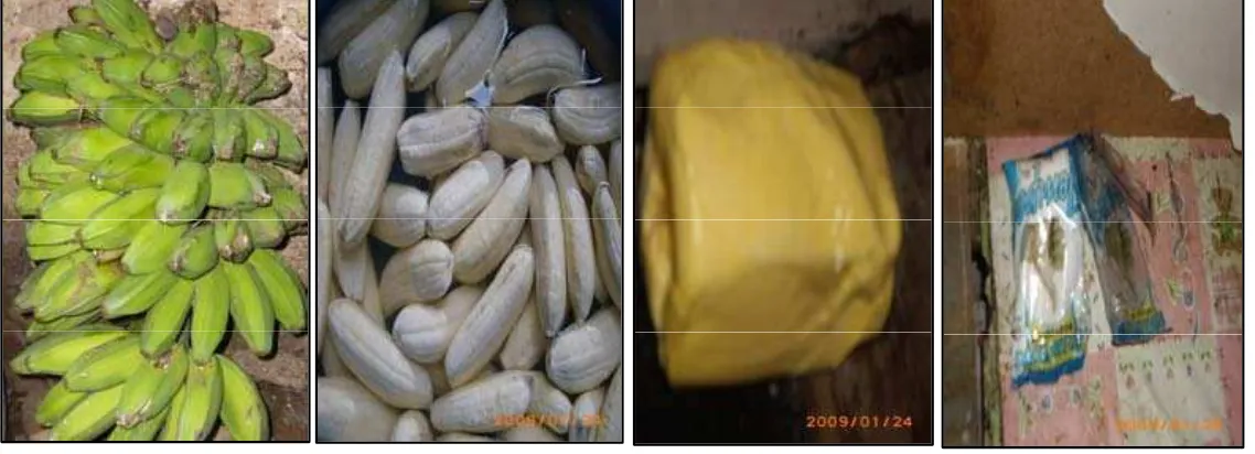 Gambar 8.  Bahan-bahan  yang  diperlukan dalam  Proses  Pembuatan  Keripik Pisang Usaha Kecil “Kondang Jaya”.