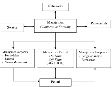 Gambar 1.  Rancang Bangun Model Cooperative Farming 