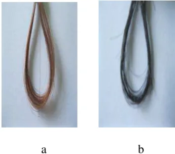Gambar 4.1 Pengaruh perbedaan konsentrasi pirogalol dan tembaga (II) sulfat                terhadap perubahan warna rambut uban dengan lama perendaman                           4 jam