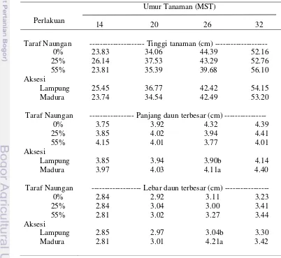 Tabel 2 Karakter morfologi tanaman cabe jawa pada berbagai intensitasnaungan dan aksesi tanaman