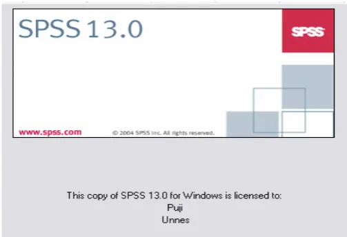 Gambar 2. Tampilan masuk program SPSS.13 