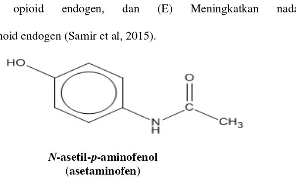 Gambar 3. Struktur Molekul Parasetamol 