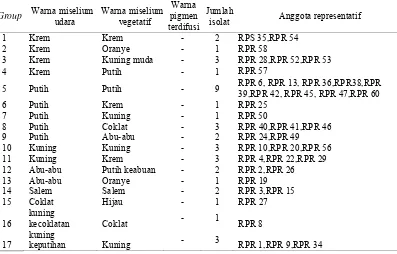 Tabel 3. Colour grouping isolat Actinomycetes dari rizosfer padi (Oryza sativa L.) 