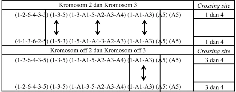 Tabel D.2 Pertukaran sub kromosom 