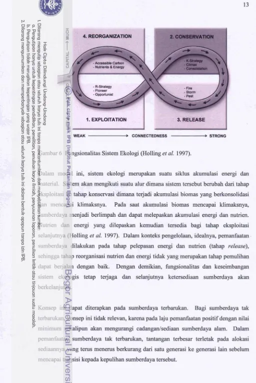 Gambar 6 Fungsionalitas Sistem Ekologi (Holling et al. 1997). 