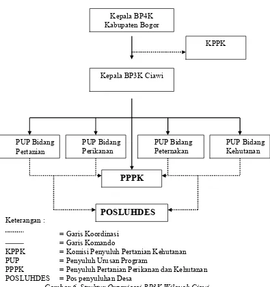 Gambar 6. Struktur Organisasi BP3K Wilayah Ciawi 