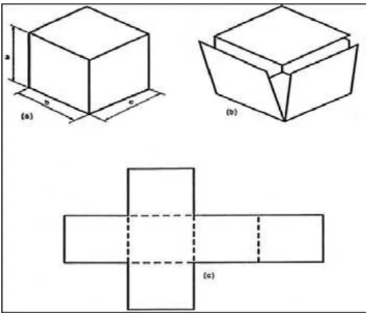 Gambar 2.36. Bentangan kubus  