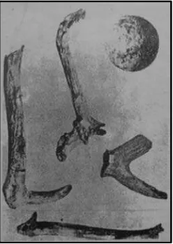 Gambar 1. Serpihan Batu Peninggalan Palaeolithikum                                                                  Sumber: wisnujadmika.files.wordpress.com/2013/02/alat- 