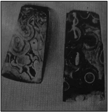 Gambar 5. Kapak Bahu                                                                                                   
