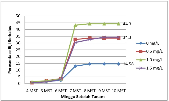 Gambar 9. Grafik Pengaruh Konsentrasi 2,4-D Terhadap Rata-rata Persentase           Biji Berkalus  