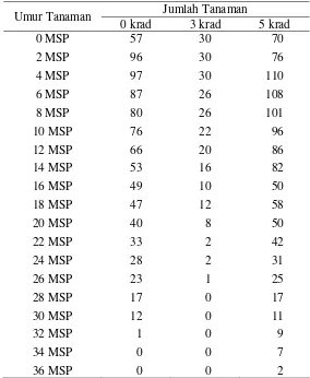 Tabel 2. Jumlah Tanaman Generasi M2 Purwoceng pada Umur yang Berbeda di Lokasi Cibadak 
